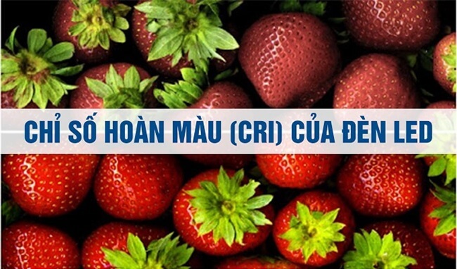 CRI là gì?